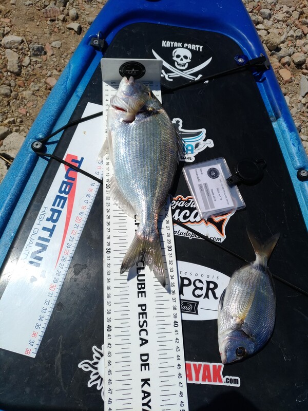 Fish Measure Picture